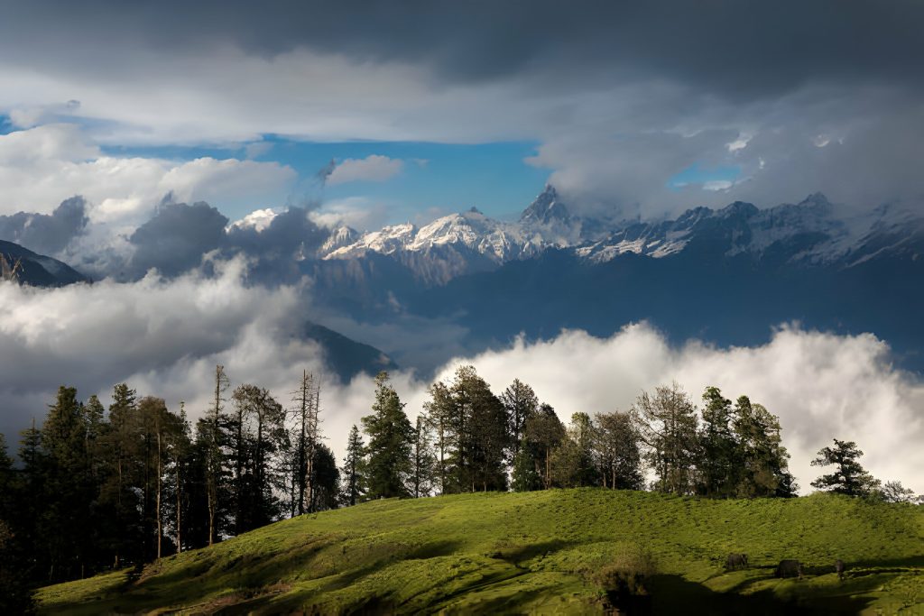 Dayara Bugyal Trek (2 Nights / 3 Days)