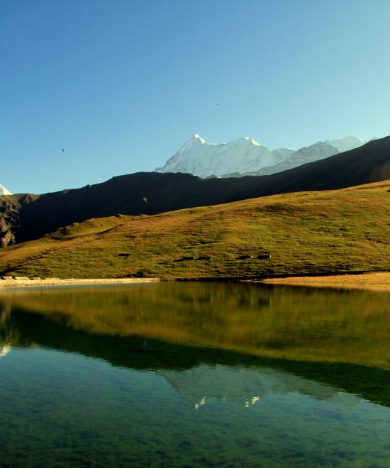 Bedni Bugyal (07 Nights / 08 Days)